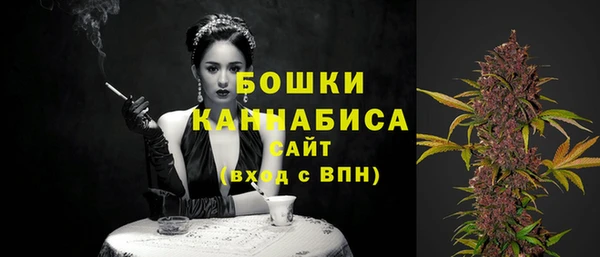 гидропоника Иннополис