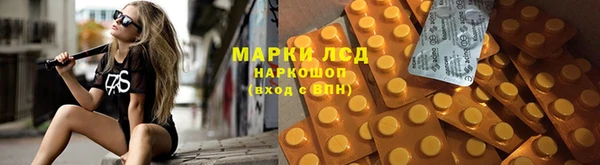 гидропоника Иннополис