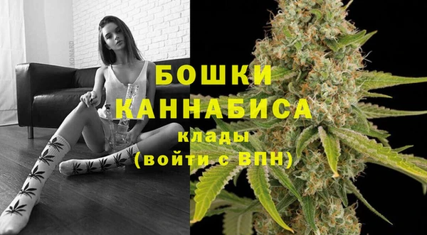 гидропоника Иннополис